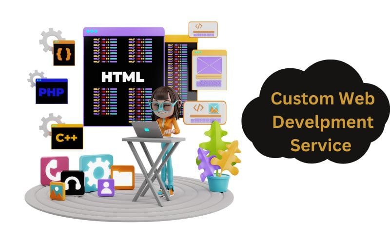 Custom web development service